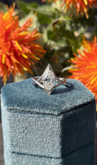 Old Memories, New Meaning: Heirloom Revival