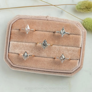 A plush velvet jewelry box contains five salt and pepper engagement rings from Point No Point studios.