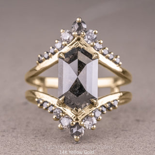 3.60 Carat Black Speckled Hexagon Diamond Engagement Ring, Empress Setting