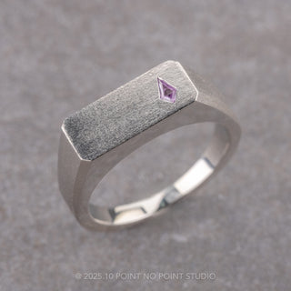 Purple Kite Sapphire Men's Signet Style Wedding Ring, Matte
