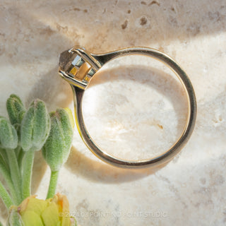 1.21 Carat Canadian Salt and Pepper Hexagon Diamond Engagement Ring, Lark Setting, 14k Yellow Gold