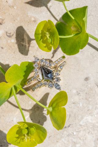 black kite diamond ring 