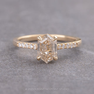 🍁Canadian Salt and Pepper Hexagon Diamond Engagement Ring