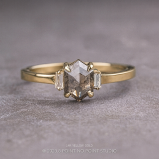 1.12 Carat Salt and Pepper Hexagon Diamond Engagement Ring, Zoe Setting