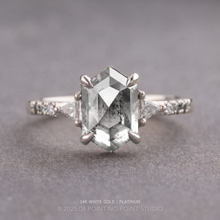 1.25 Carat Icy Salt and Pepper Hexagon Diamond Engagement Ring, Ombre Eliza Setting