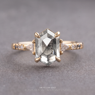 1.25 Carat Icy Salt and Pepper Hexagon Diamond Engagement Ring, Ombre Eliza Setting