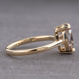 2.82 Carat Salt and Pepper Oval Diamond Engagement Ring, Lark Setting, 14K Yellow Gold