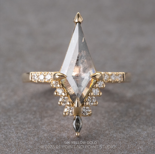 2.54 Carat Salt and Pepper Kite Diamond Engagement Ring, Avaline Setting