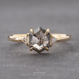 1.48 Carat Salt and Pepper Hexagon Diamond Engagement Ring, Zoe Setting