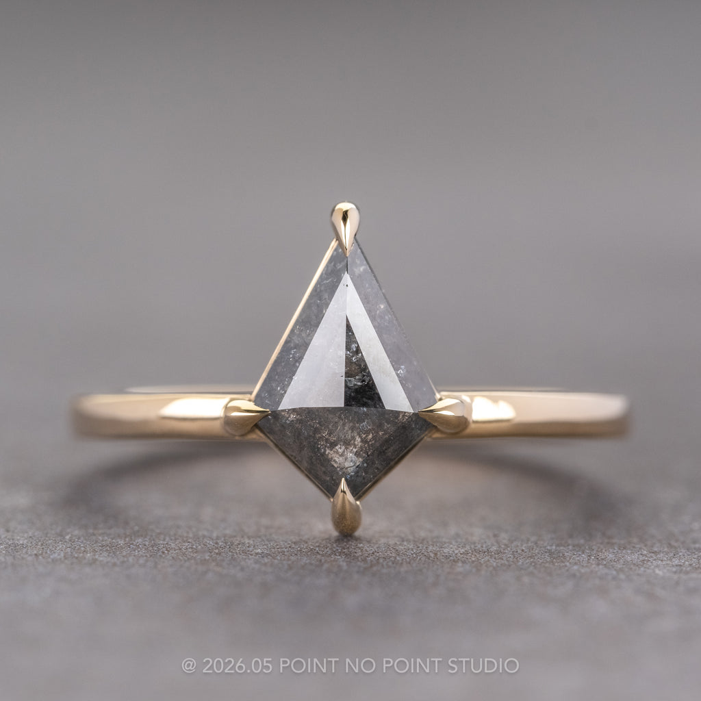 Black Salt and Pepper Diamond Engagement Ring, Point No Point Studio