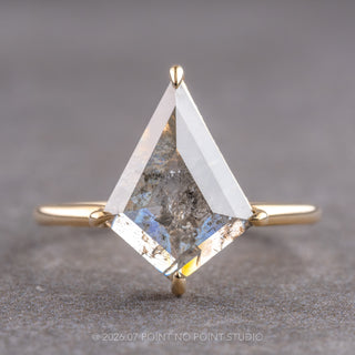 2.74 Carat Salt and Pepper Kite Diamond Engagement Ring, Jade Setting, 14k Yellow Gold, Point No Point Studio. Eco-friendly, Recycled Metals, Conflict Free.
