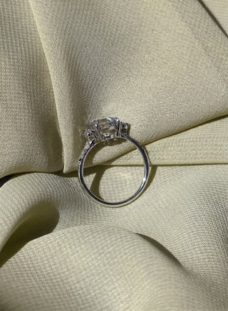 2.21 Carat Canadian Salt and Pepper Hexagon Diamond Engagement Ring, Liza Setting