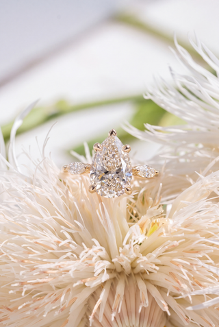 Pear Lab Diamond Engagement Ring, Zoe Setting