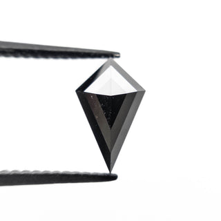 Black kite diamond