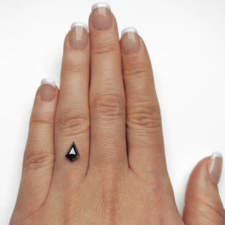 Black kite diamond