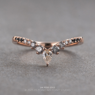 Cassiopeia Wedding Ring, 15 Ombre Diamond