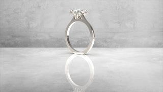 Custom Listing for Caden Nehls 12/19/25 BN