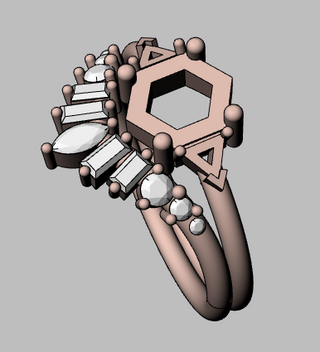 Remaining Balance for Dove Wedding Ring - Emily Murphy - 7.14.26 - AR