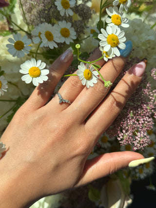 Rae Wedding Ring, Salt and Pepper Marquise, 7 Diamond, Knife Edge Band women's wedding band, Point No Point Studio. Eco-friendly, Recycled Metals, Conflict Free.