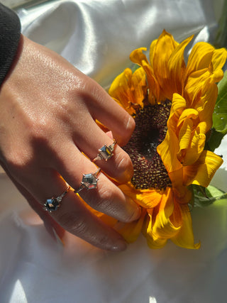 1.71 Carat Black Salt and Pepper Hexagon Diamond Engagement Ring, Elora Setting, 14k Rose Gold
