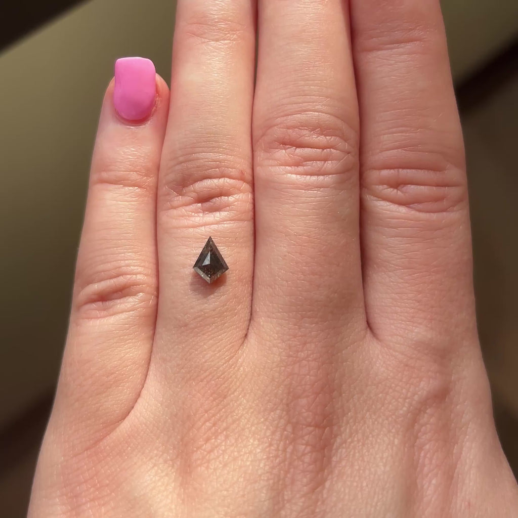 .78ct Kite loose Salt and Pepper Diamond, Point No Point Studio. Conflict free.
