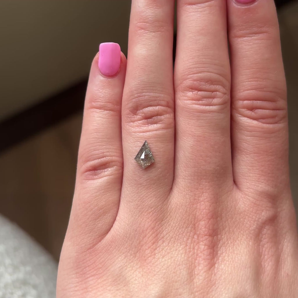.85ct Kite loose Salt & Pepper Diamond, Point No Point Studio. Conflict free.