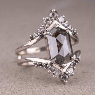 2.14 Carat Black Speckled Hexagon Diamond Engagement Ring, Empress Setting, Platinum