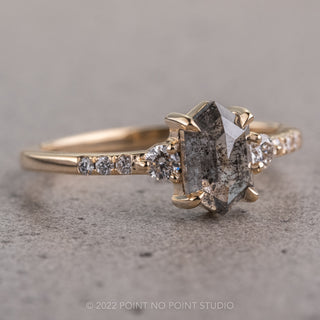 1.35 Carat Salt and Pepper Hexagon Diamond Engagement Ring, Eliza Setting, 14K Yellow Gold